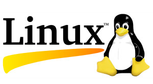 История успеха Linux