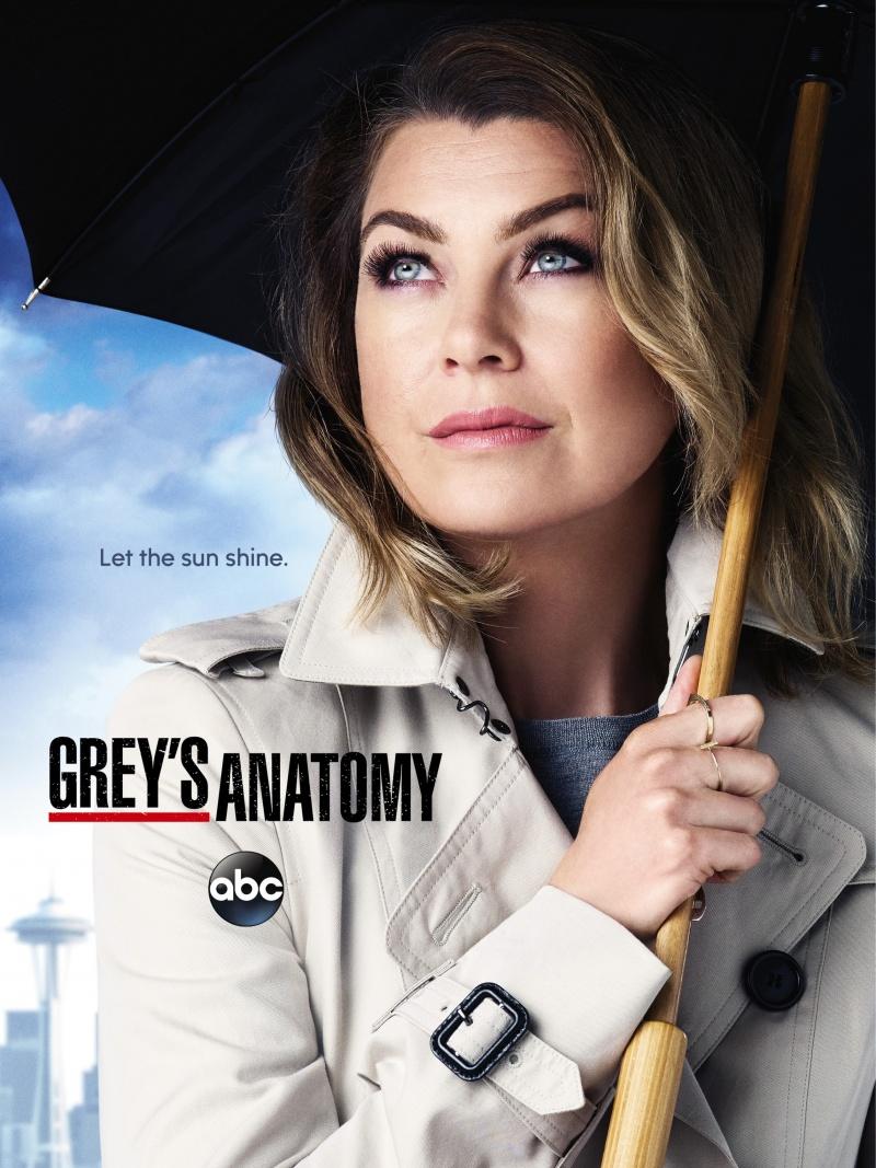 Анатомия страсти | Grey's Anatomy - 12 сезон